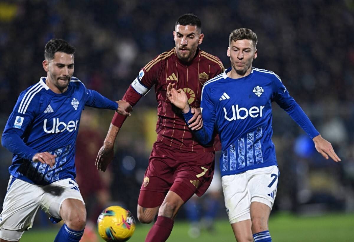 角色与贡献 角色与贡献