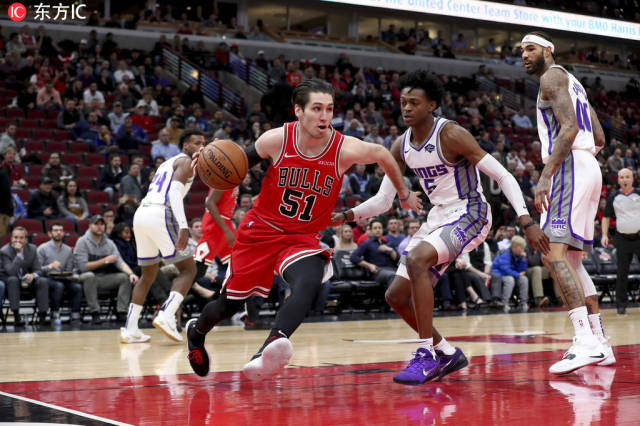 当地的体育 当地的体育